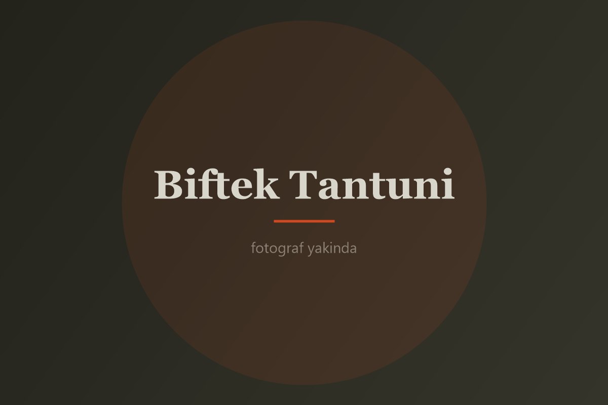 Biftek Tantuni