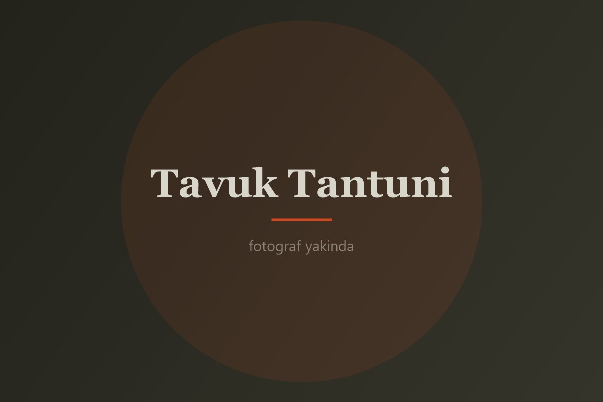 Tavuk Tantuni